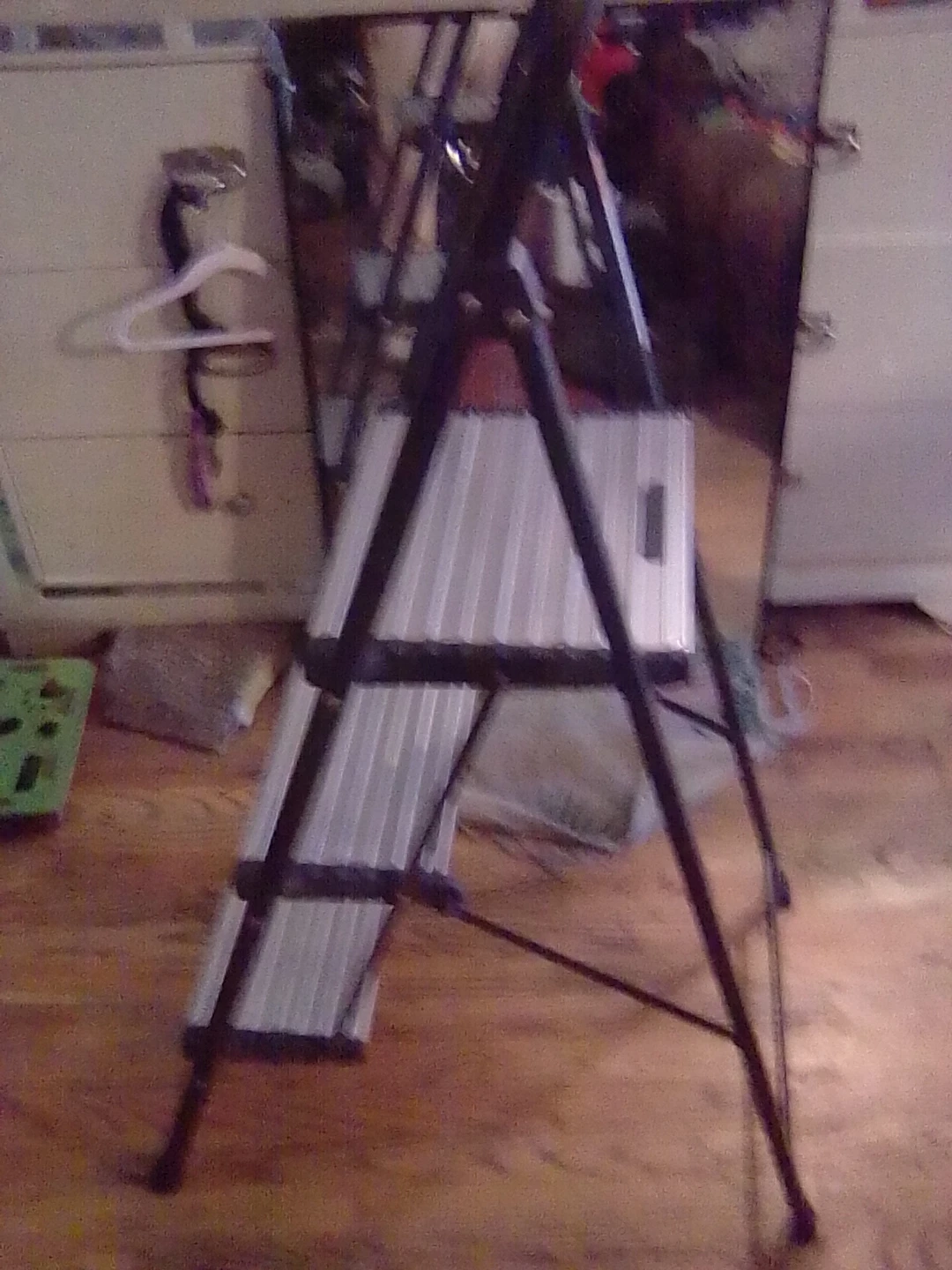 Folding Ladder