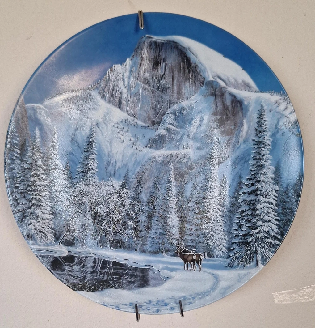 Decorative Winter Scene Plate
