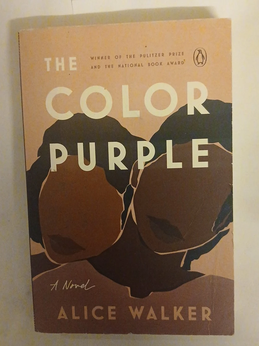 The Color Purple Novel by Alice Walker