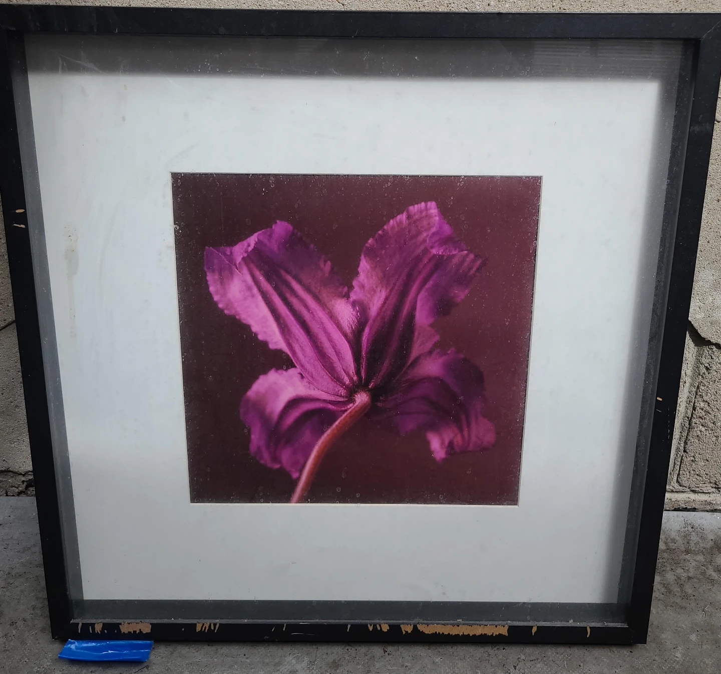 Framed Purple Flower Art Print