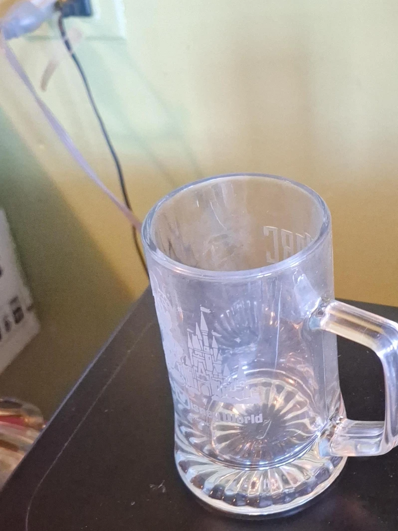 Disney World Castle Mug