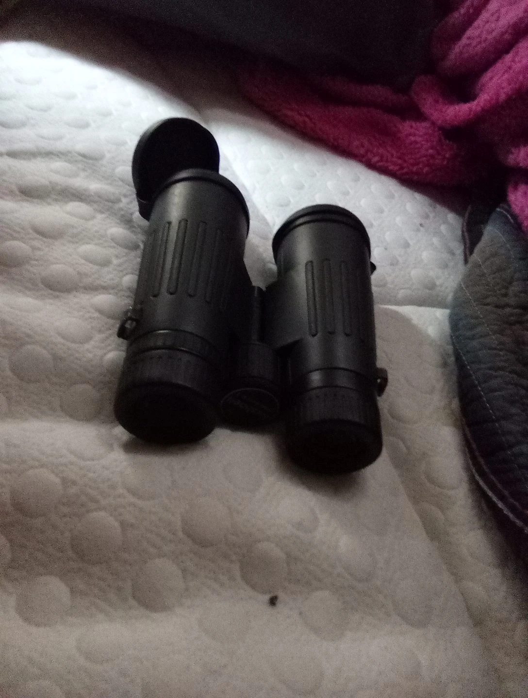 Bushnell Binoculars