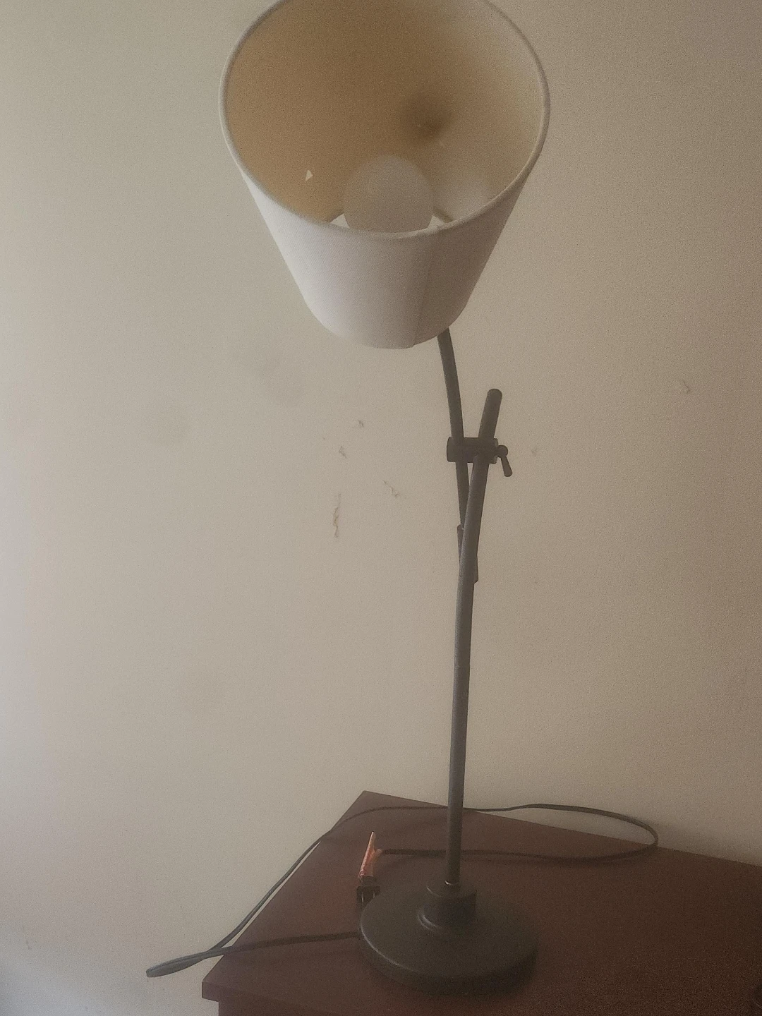 Adjustable Floor Lamp