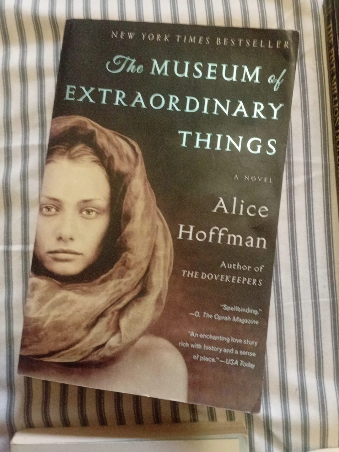 The Museum of Extraordinary Things by Alice Hoffman