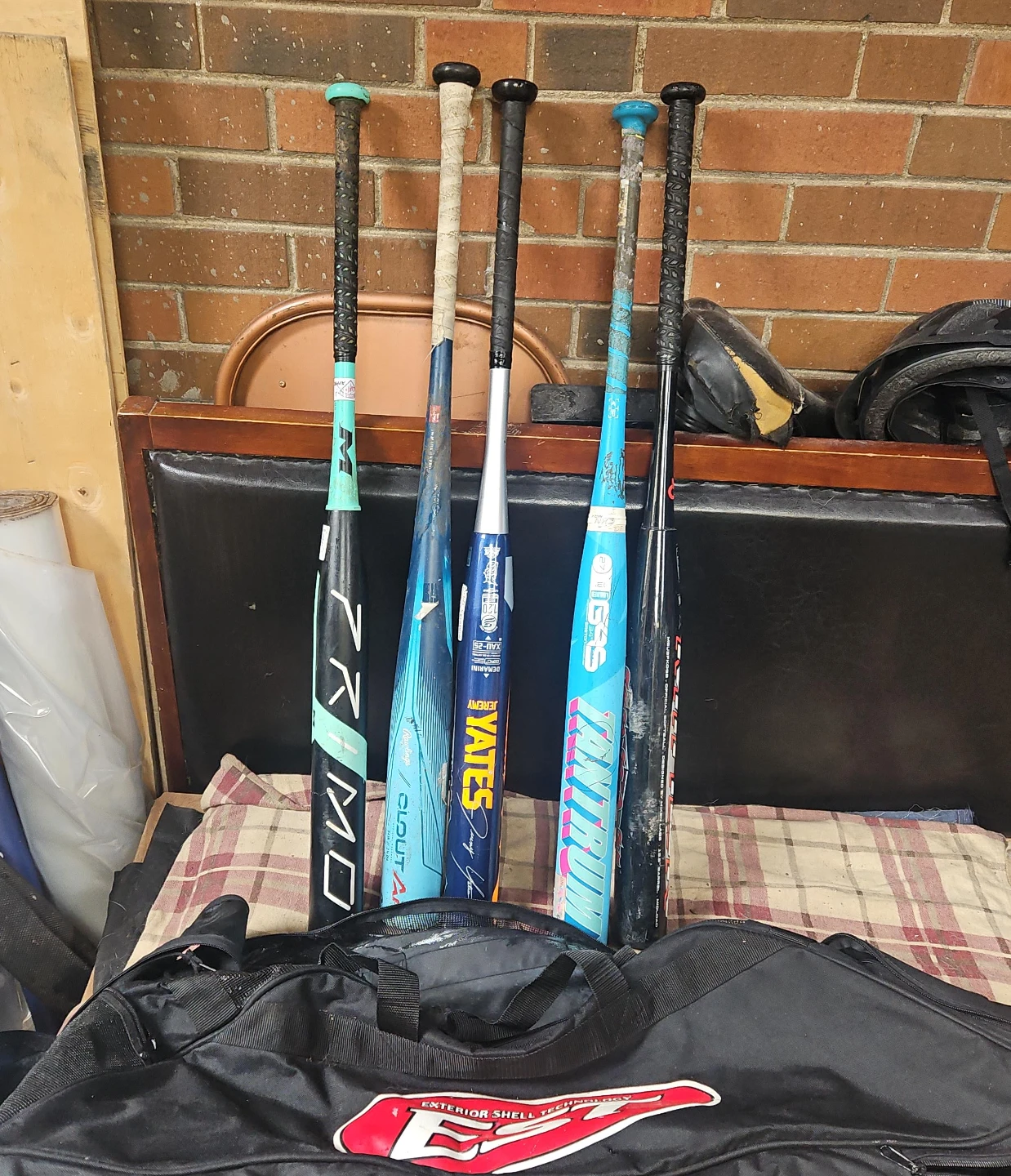 Baseball Bat Bag with Assorted Bats