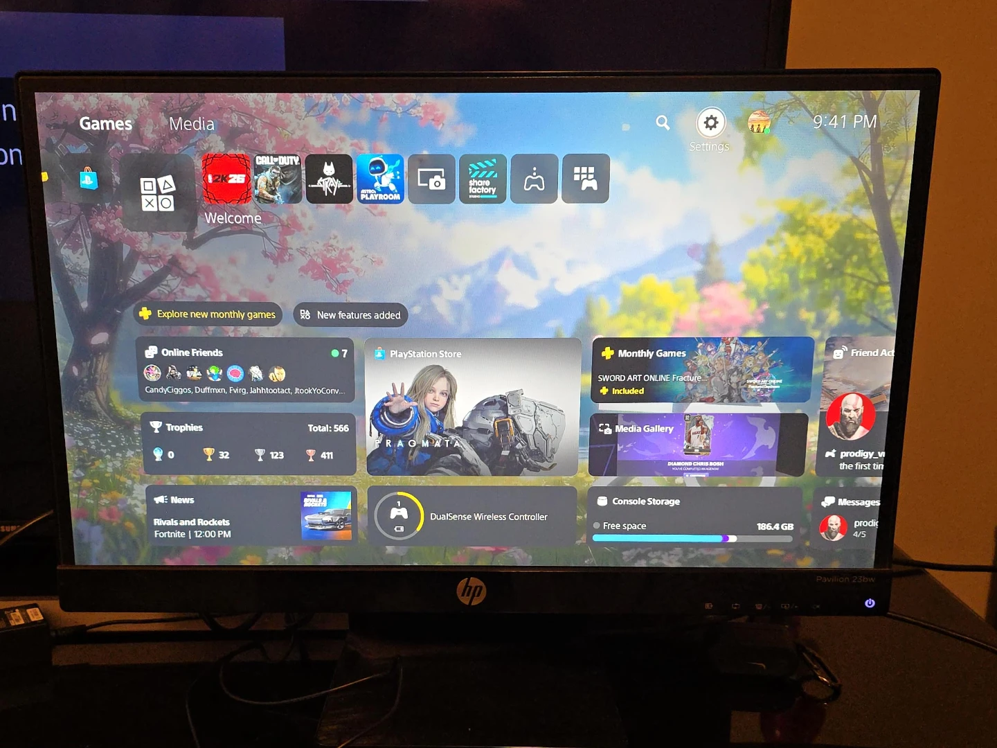 HP Pavilion 23bw Monitor