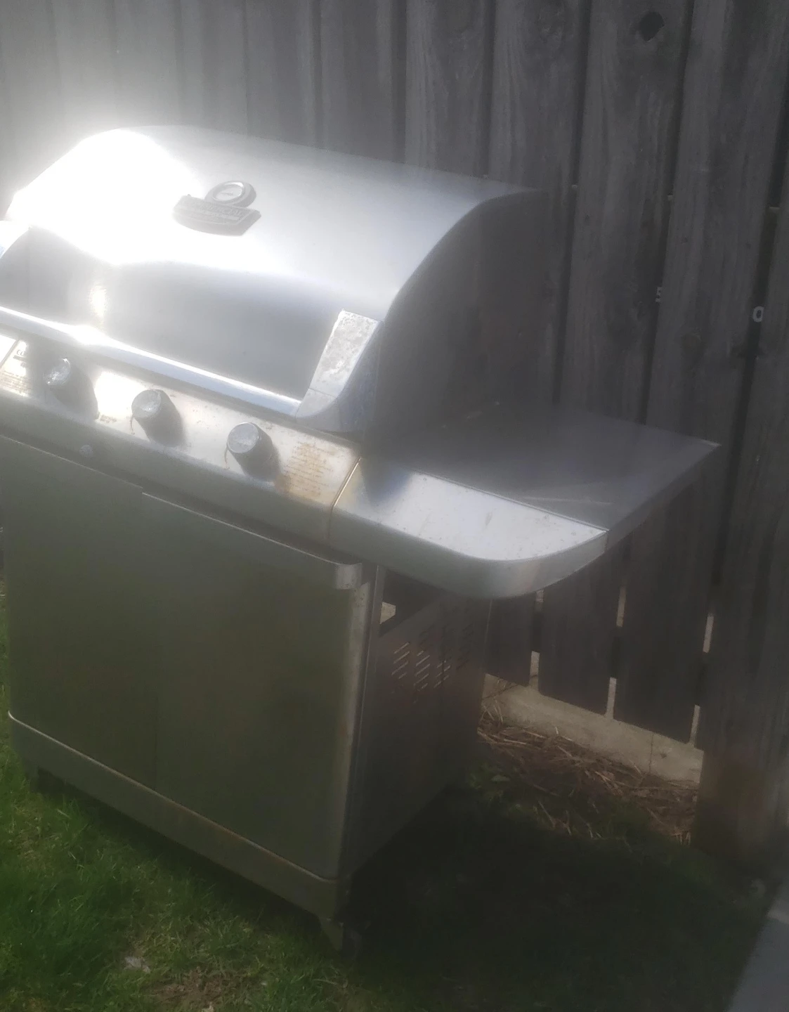 Stainless Steel Gas Grill