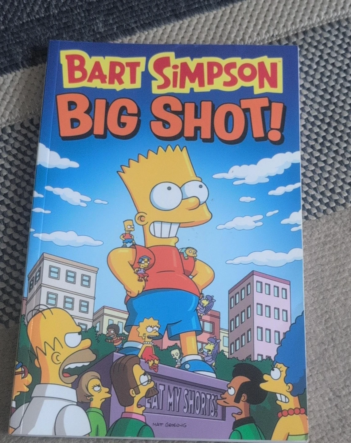 The Simpsons Bart Simpson Big Shot! Book