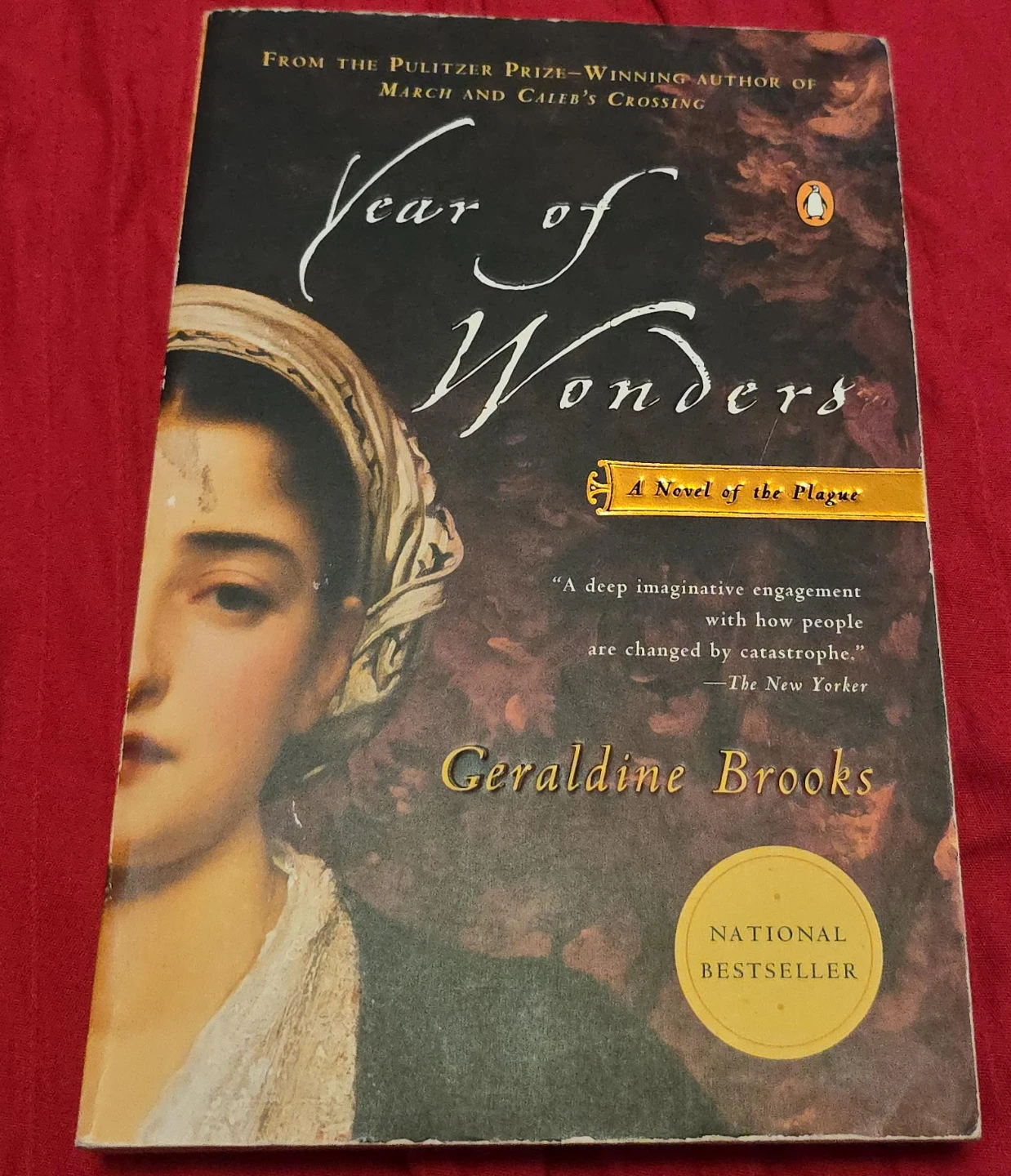 Year of Wonders: A Novel of the Plague by Geraldine Brooks