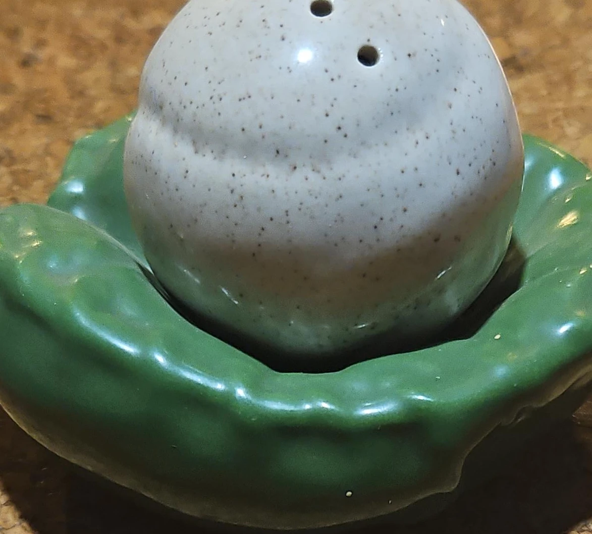 Ceramic Salt and Pepper Shaker Set