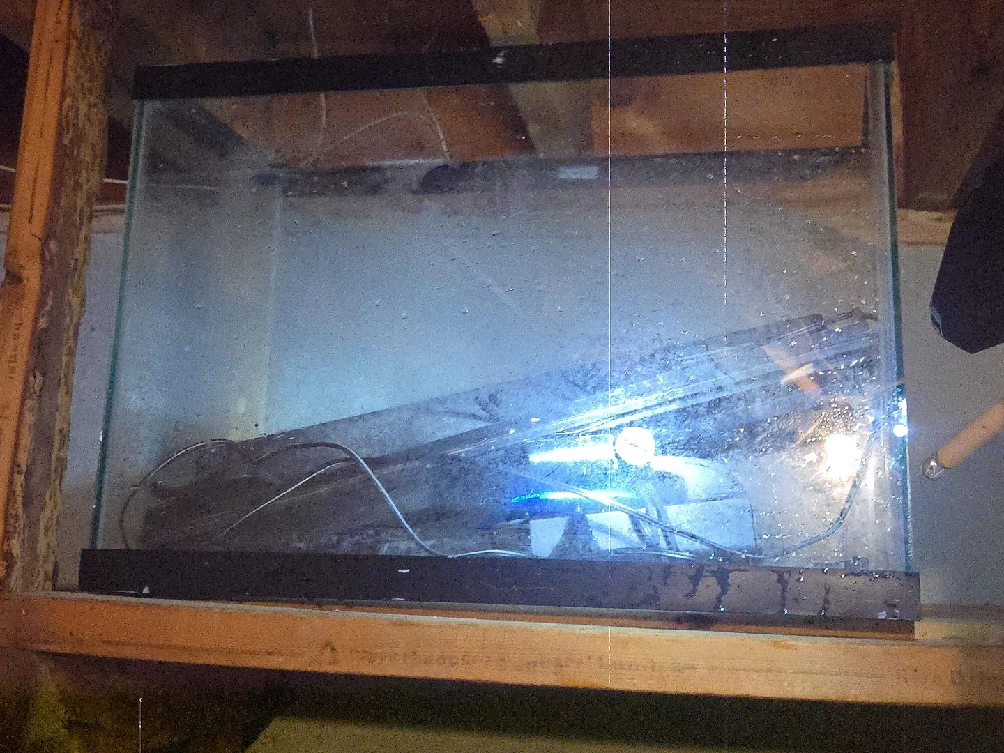 Large Glass Aquarium Tank