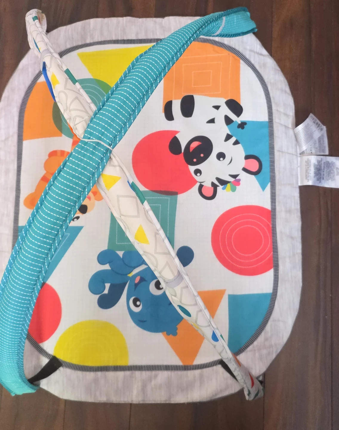 Infant Play Gym Mat with Arch and Mirror