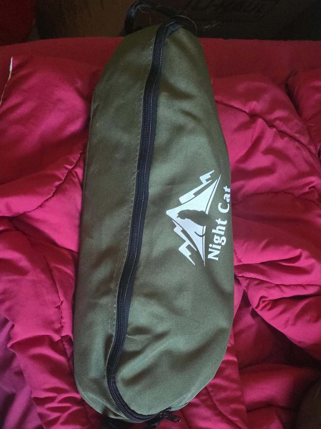 Night Cat Camping Chair