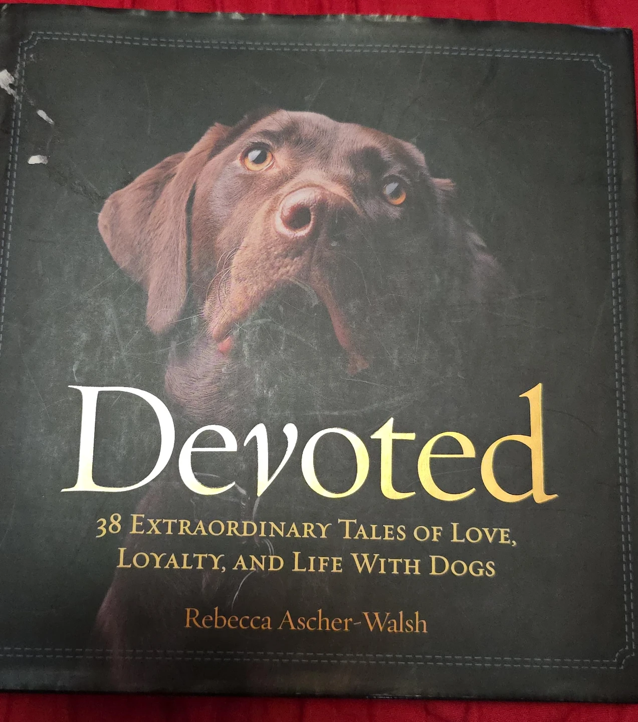 Devoted