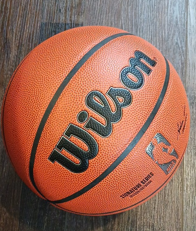 Wilson Signature Series NBA Basketball