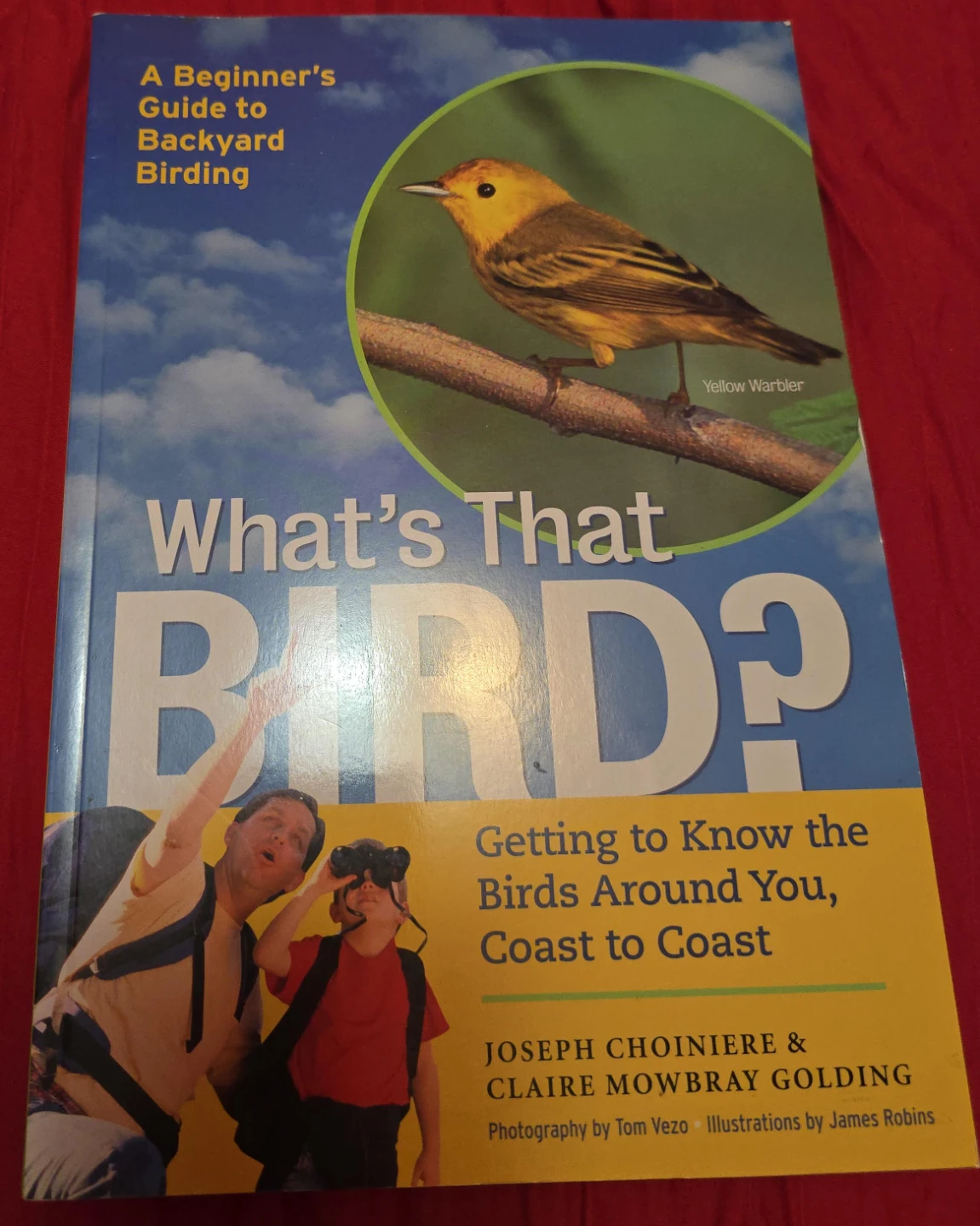 What's That Bird? A Beginner's Guide to Backyard Birding