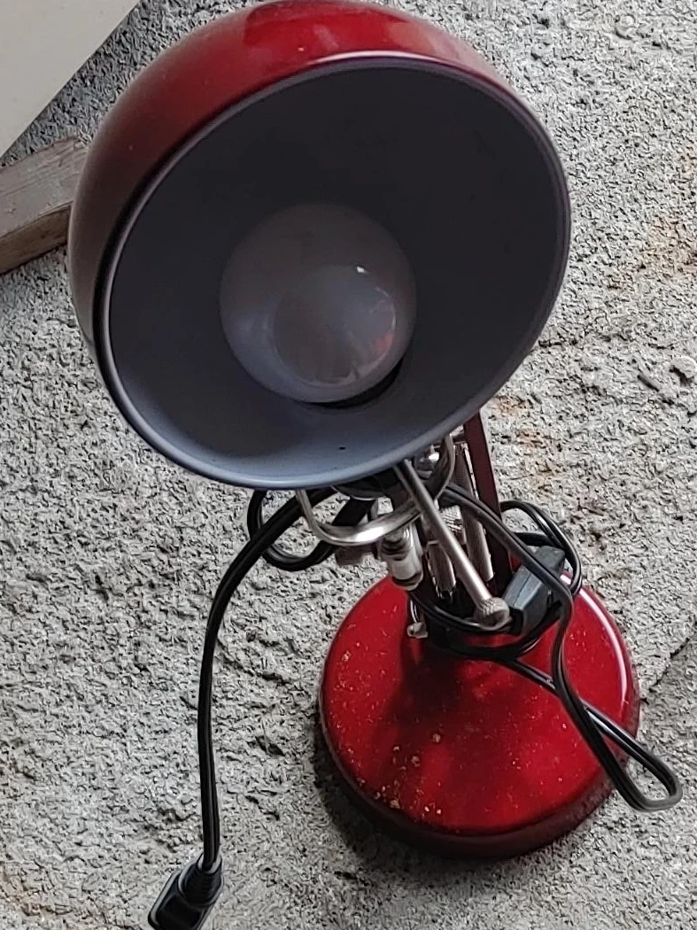 Red Desk Lamp