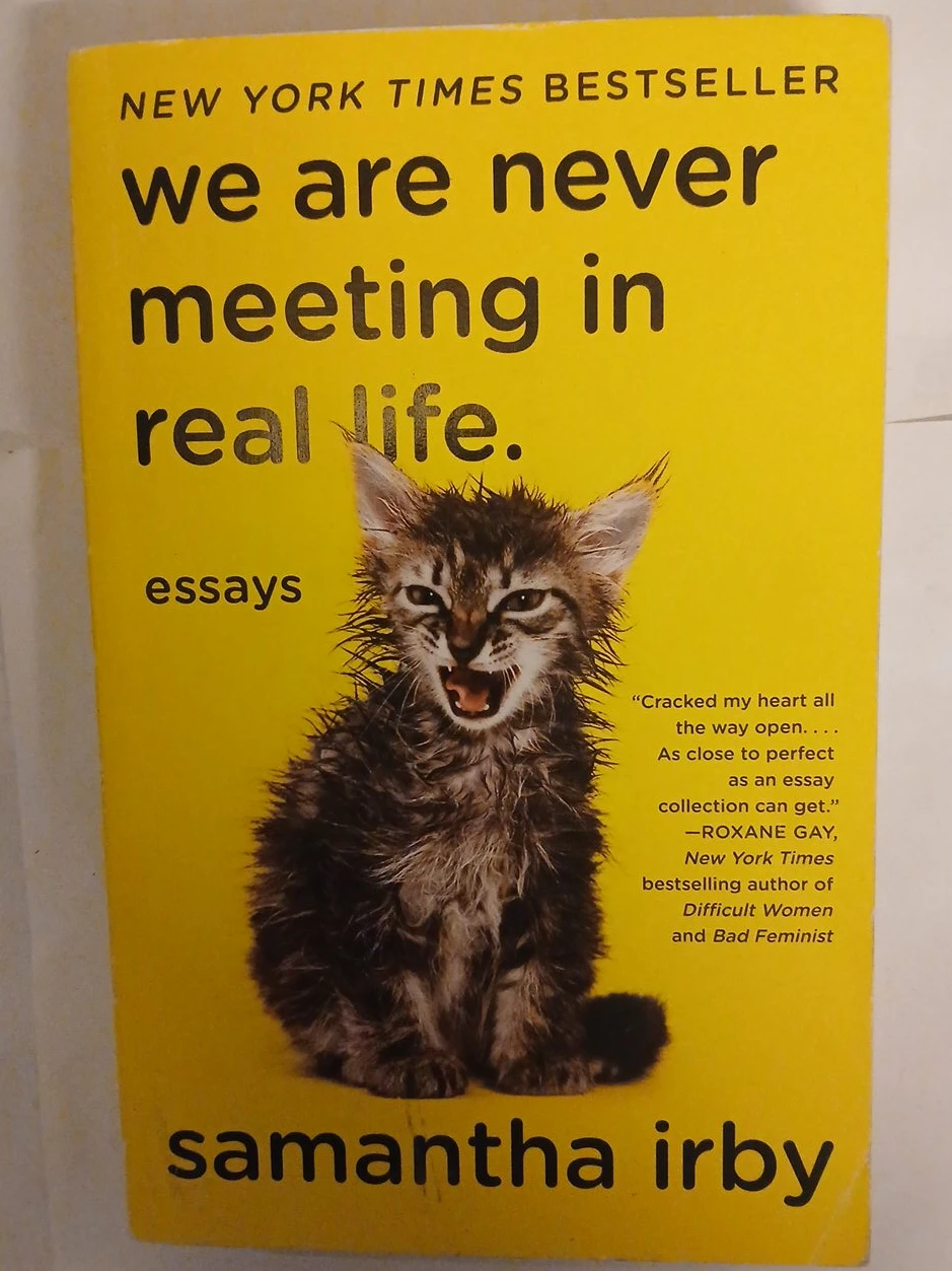 We Are Never Meeting in Real Life Essays by Samantha Irby