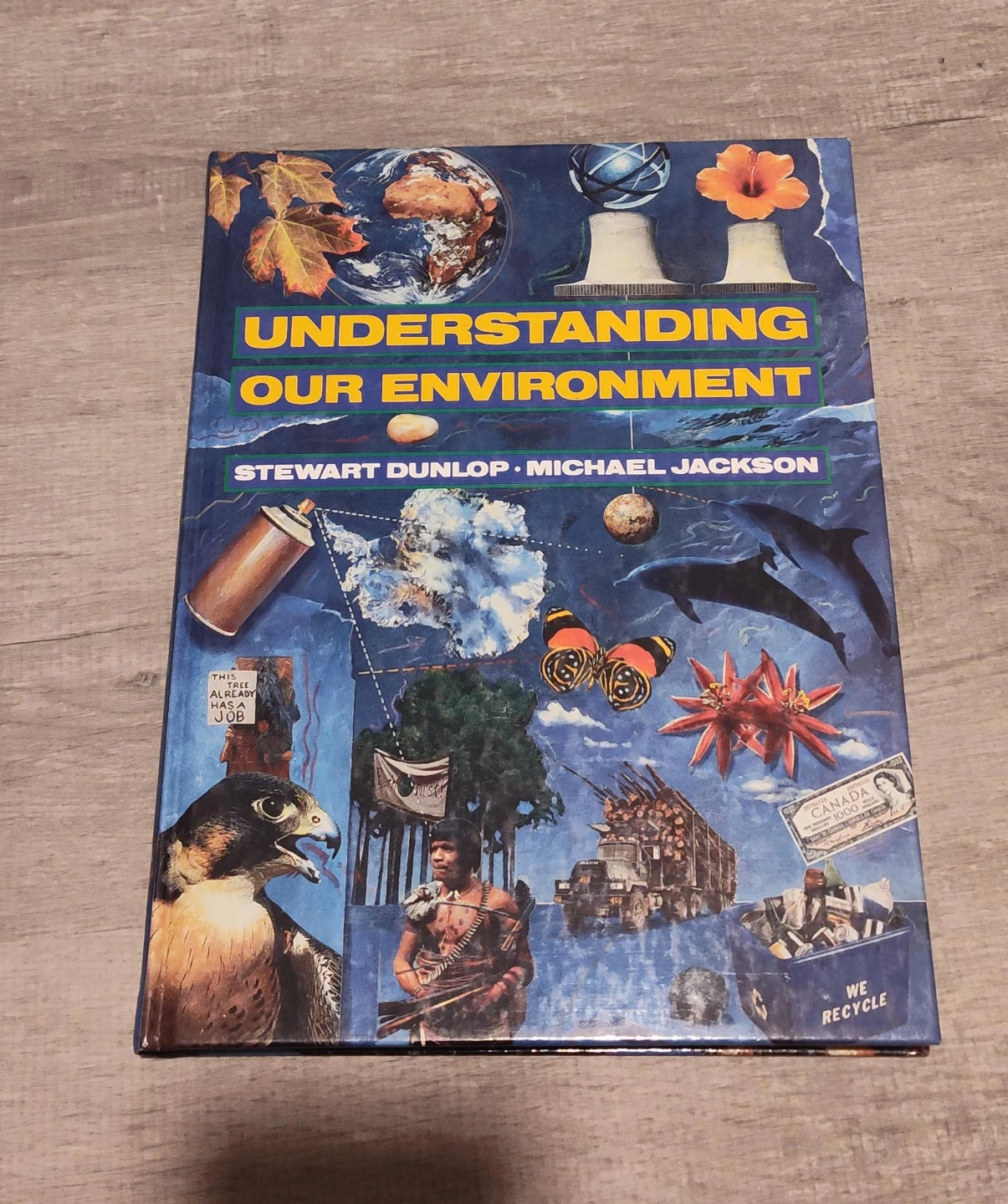 Understanding Our Environment Textbook