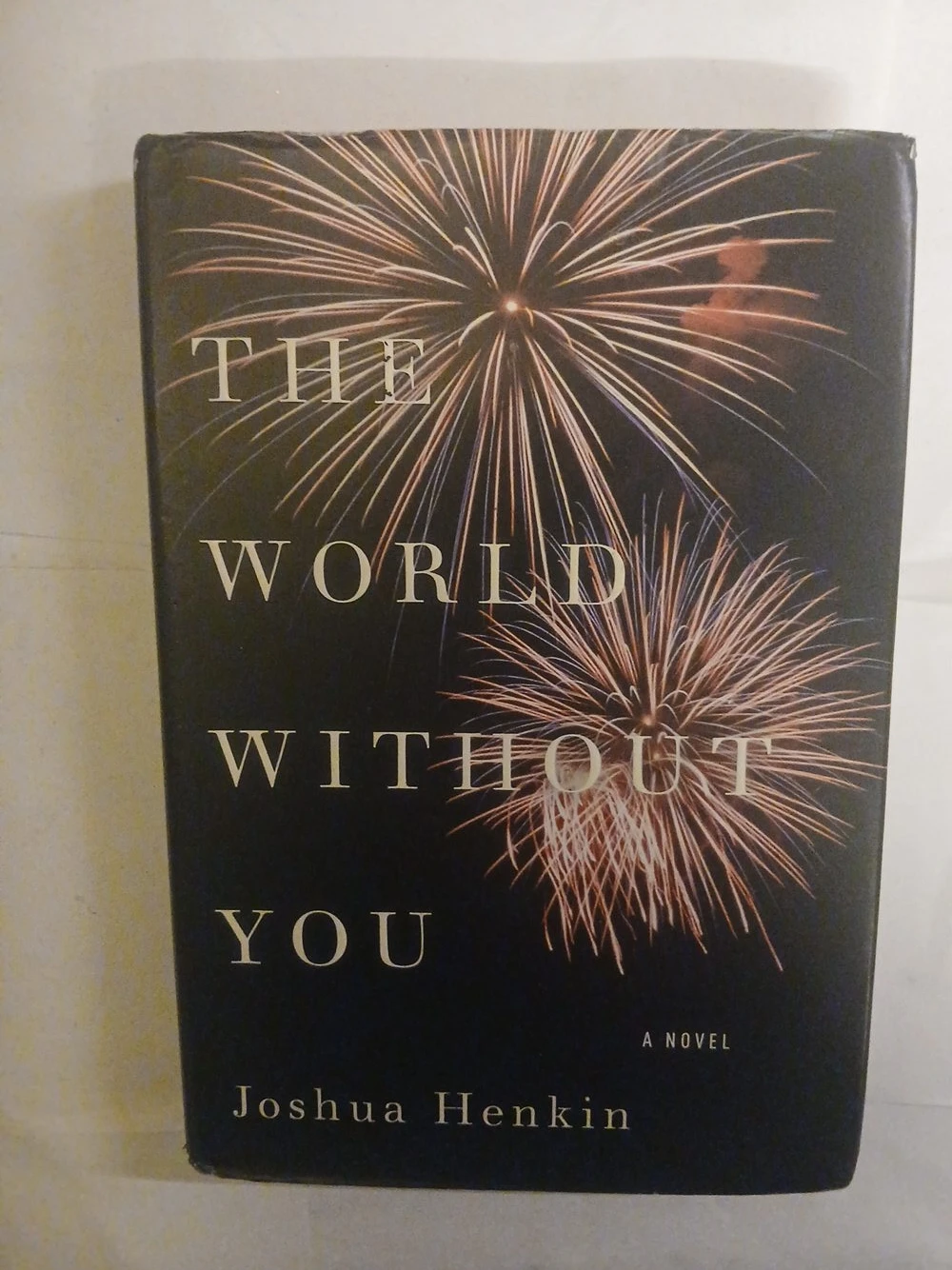 The World Without You A Novel by Joshua Henkin