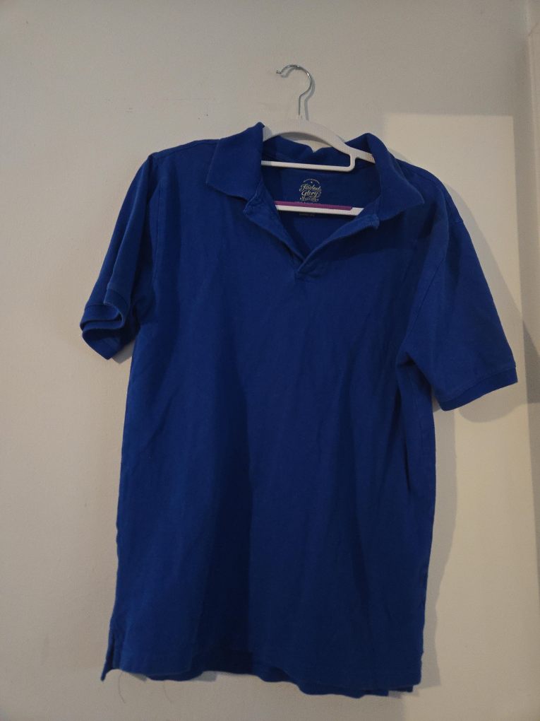 Mems Royal Blue Polo Shirt