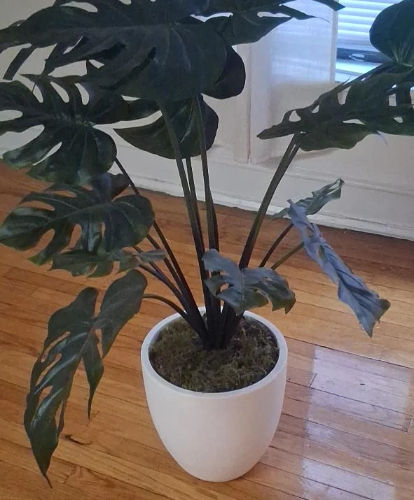 Artificial Monstera Plant in White Pot