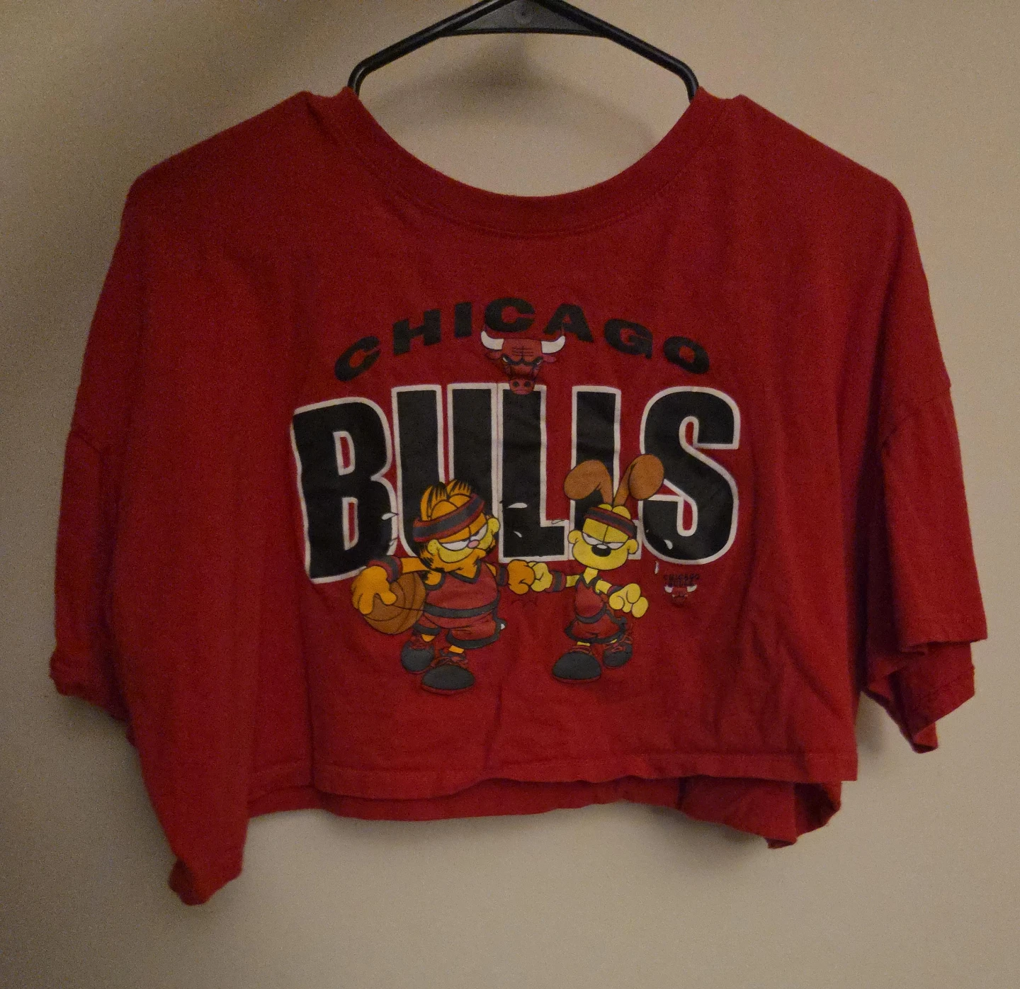 Chicago Bulls Garfield Cropped T-Shirt