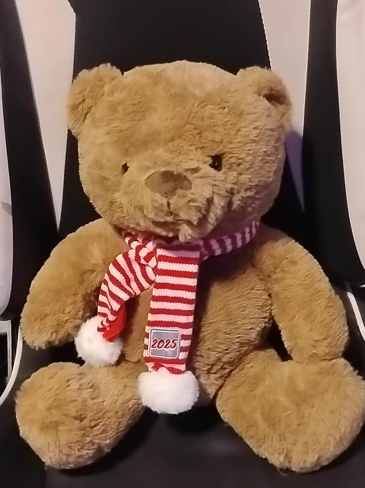 Brown Teddy Bear with Striped Scarf