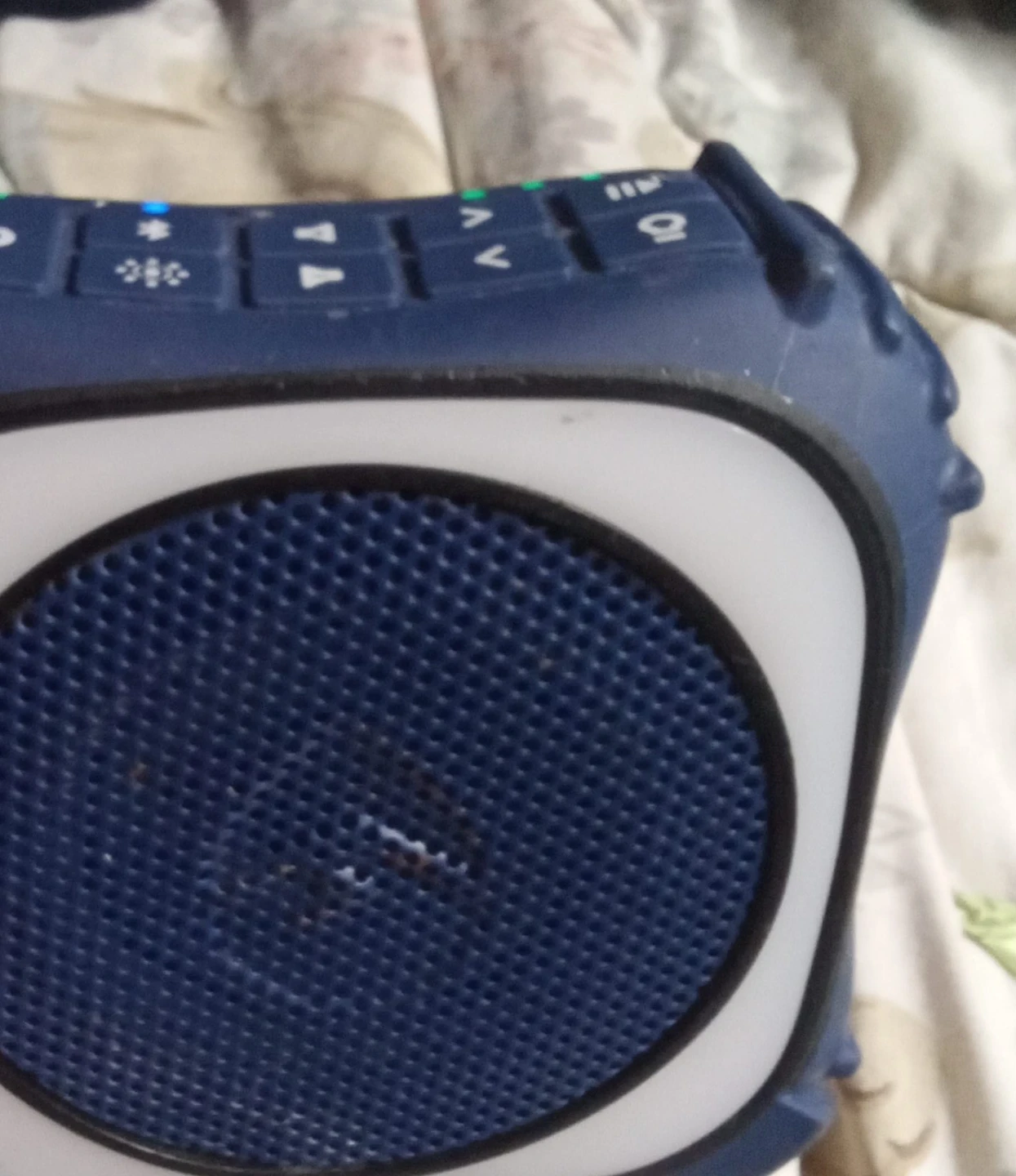 Ecoxgear Audio Portable Bluetooth Speaker