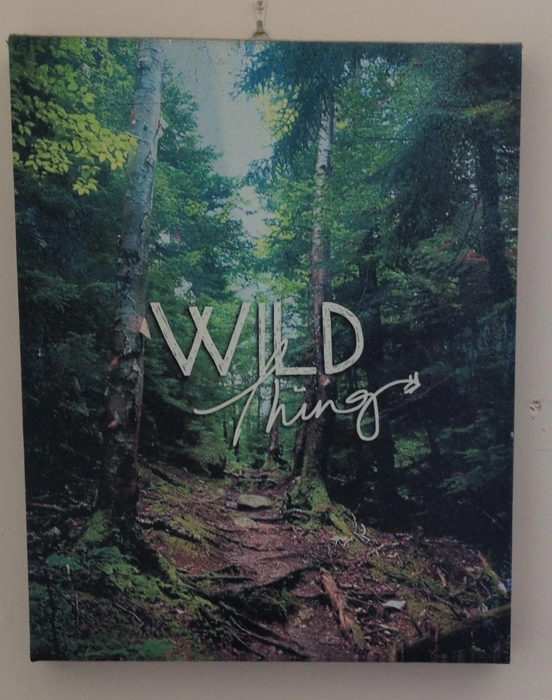 Wild Thing Canvas Wall Art