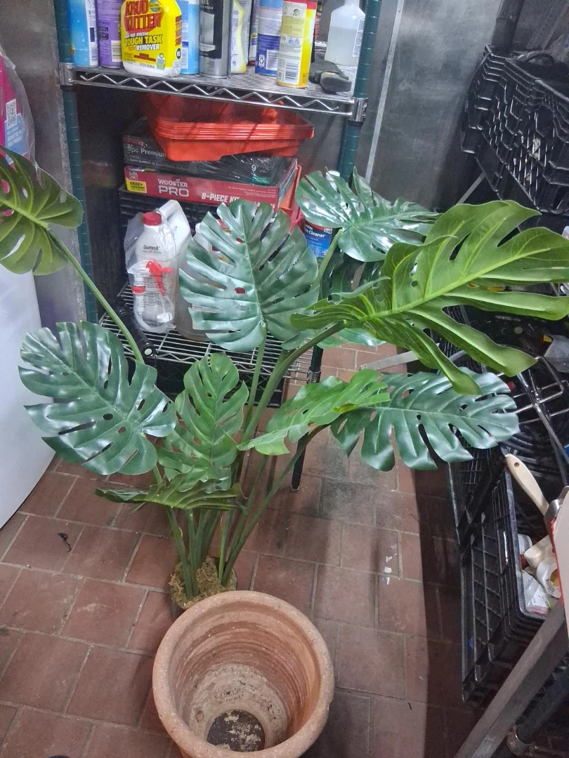 Artificial Monstera Plant