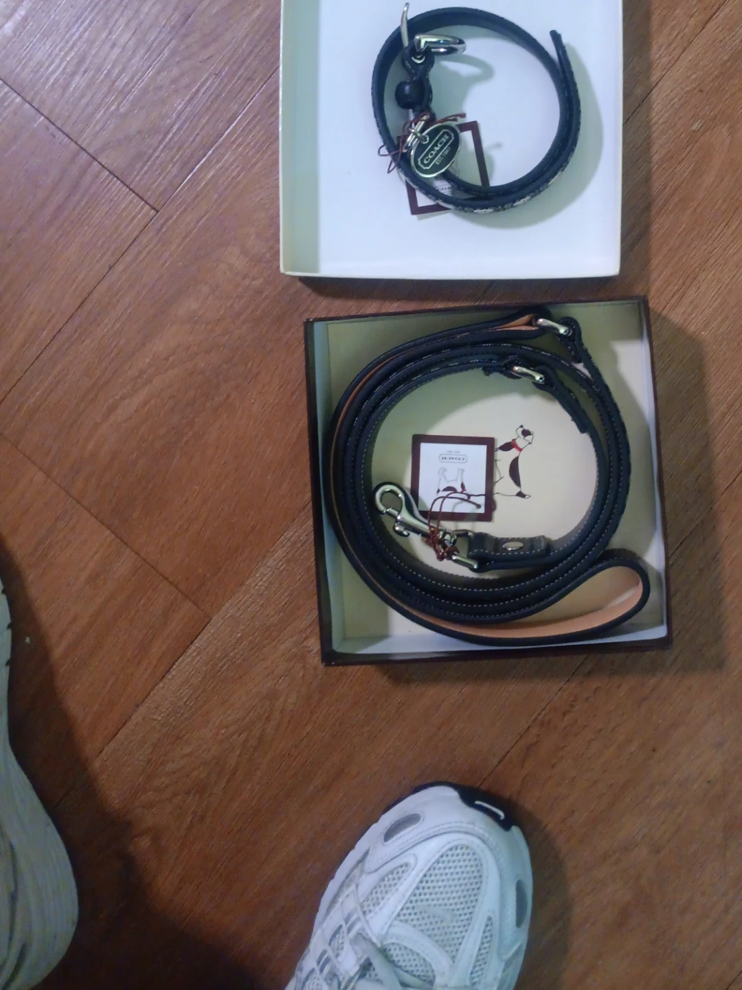 Coach Dog Collar and Leash Set