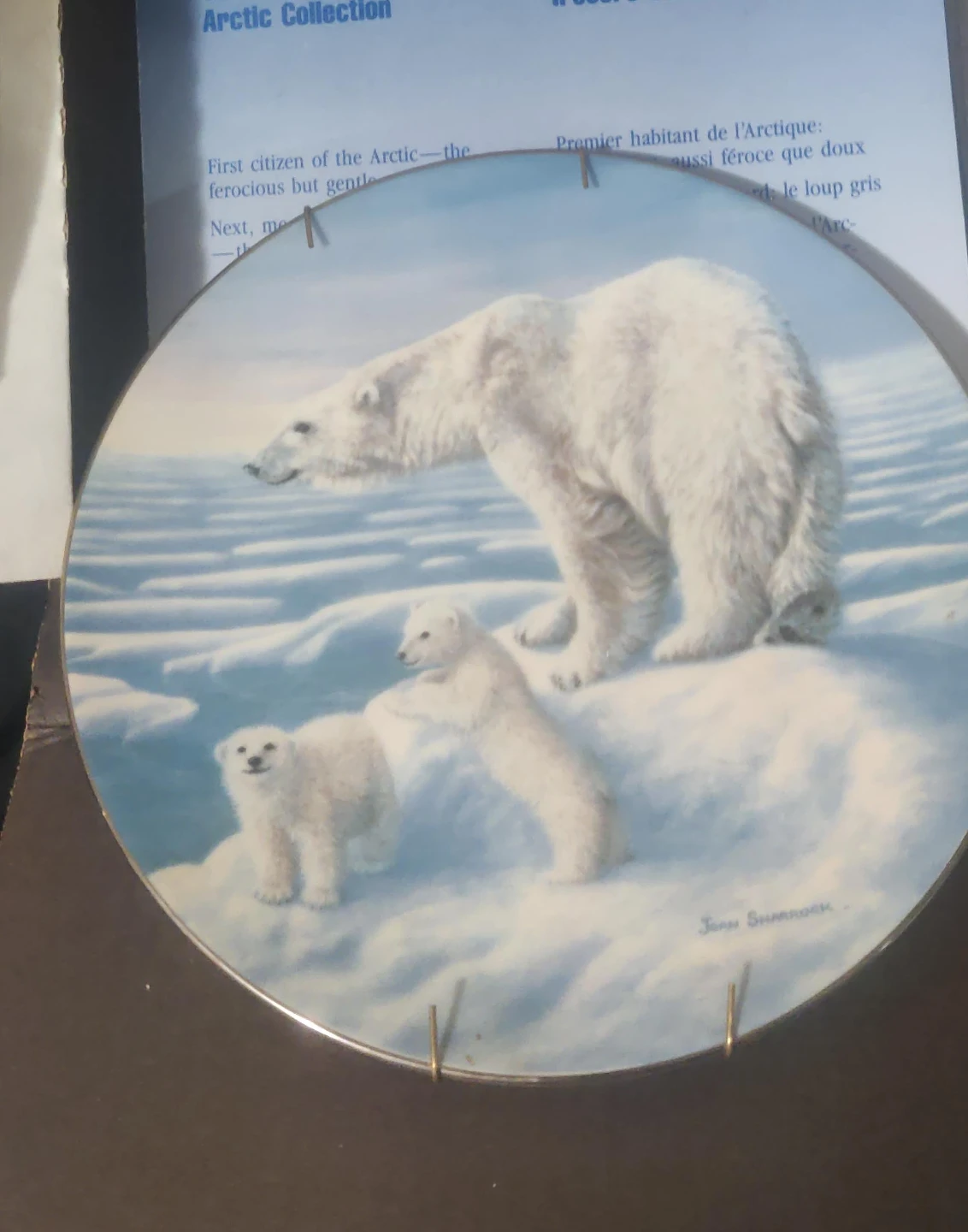 Arctic Collection Decorative Plate by John Sharrock