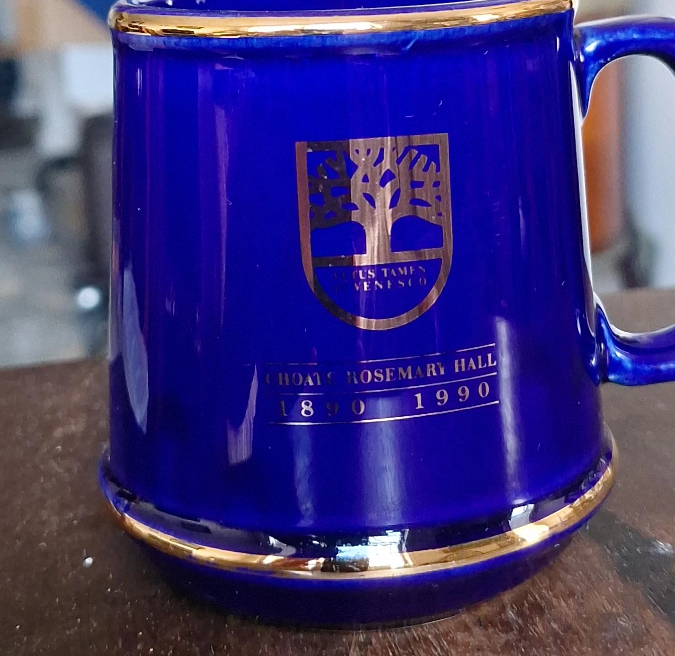 Blue Ceramic Mug - Rosemary Hall 1890-1990