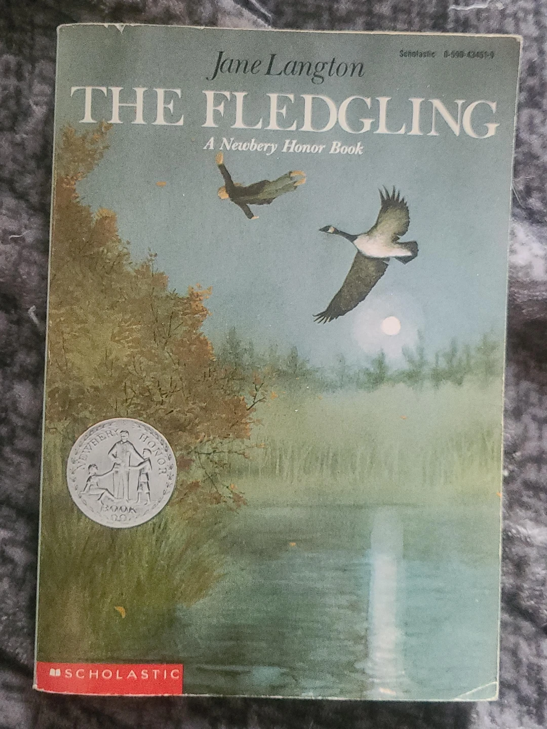 The Fledgling by Jane Langton