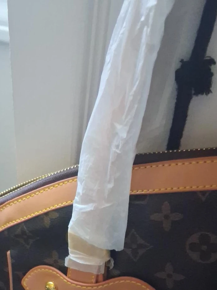 Louis Vuitton Monogram Speedy Bag