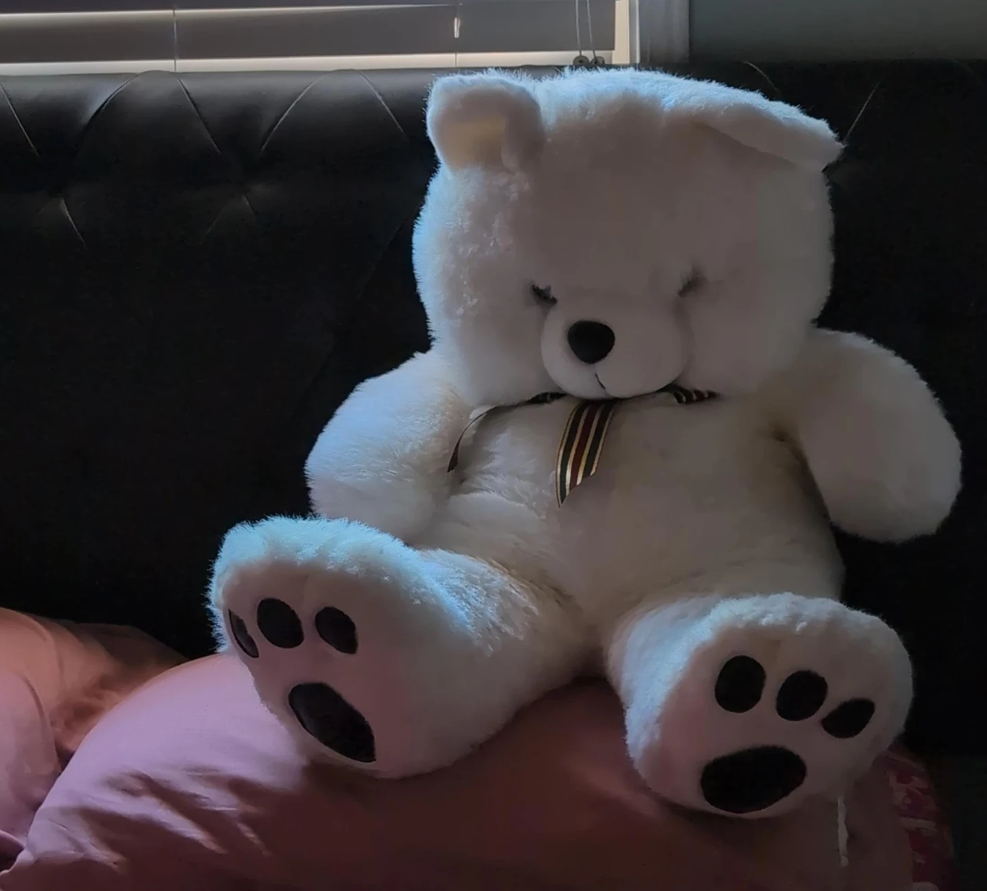 White Teddy Bear Plush Toy