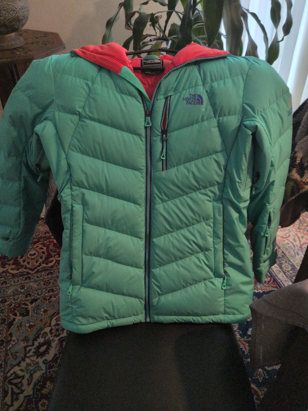 The North Face Down Puffer Jacket - Teal