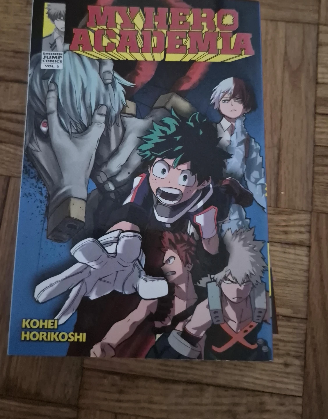 My Hero Academia Manga Volume 2 and 3
