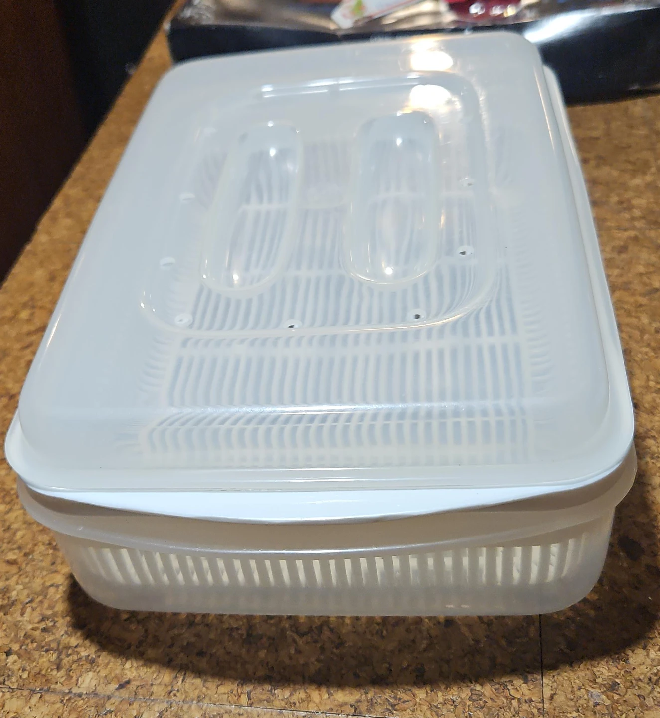Plastic Food Storage Container with Vented Lid