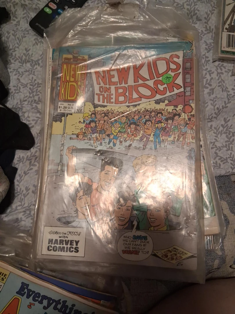 New Kids on the Block Comic Book Jan. No. 2