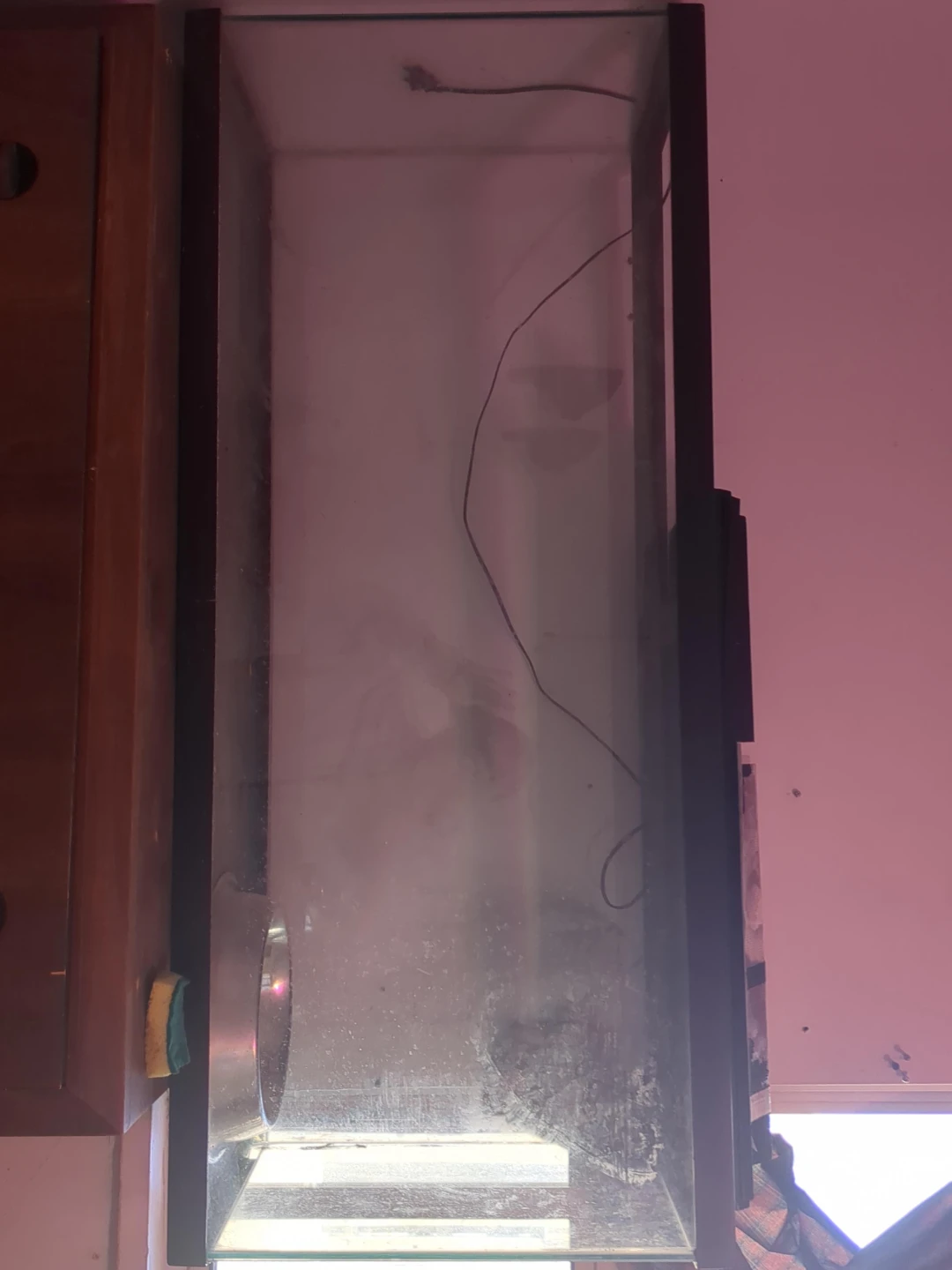 Glass Aquarium Tank