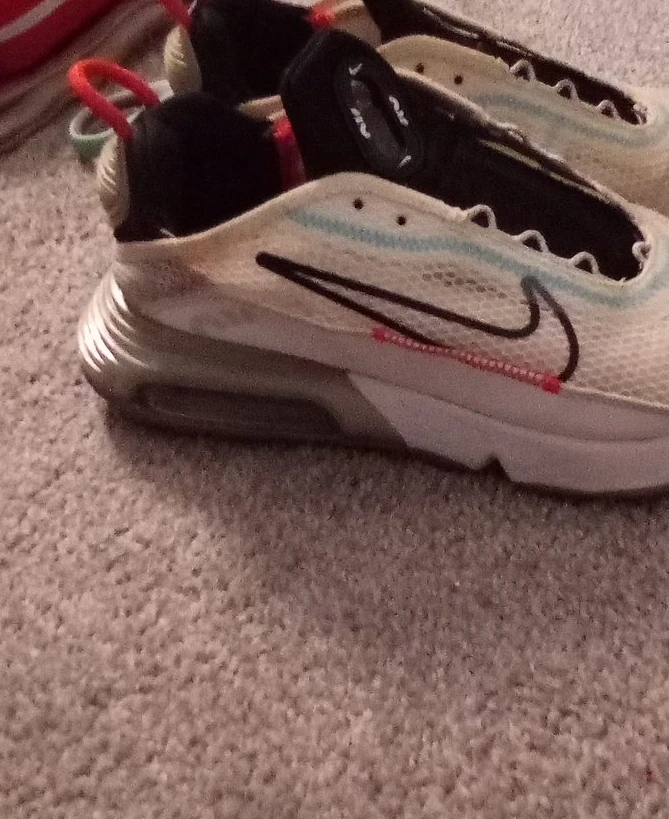 Nike Air Max 2090 Shoes