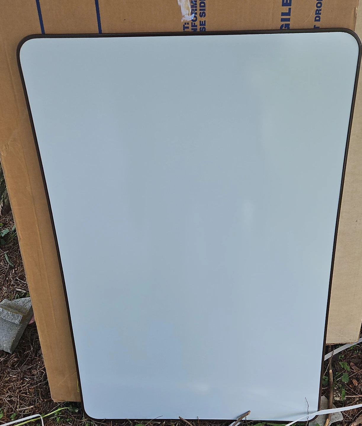 WEBER COSTELLO Ghost Duster Dry Erase Board and Accessories