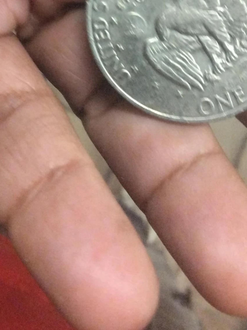 United States Dollar Coin