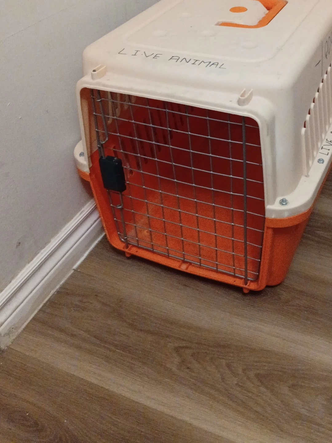 Pet Carrier Crate