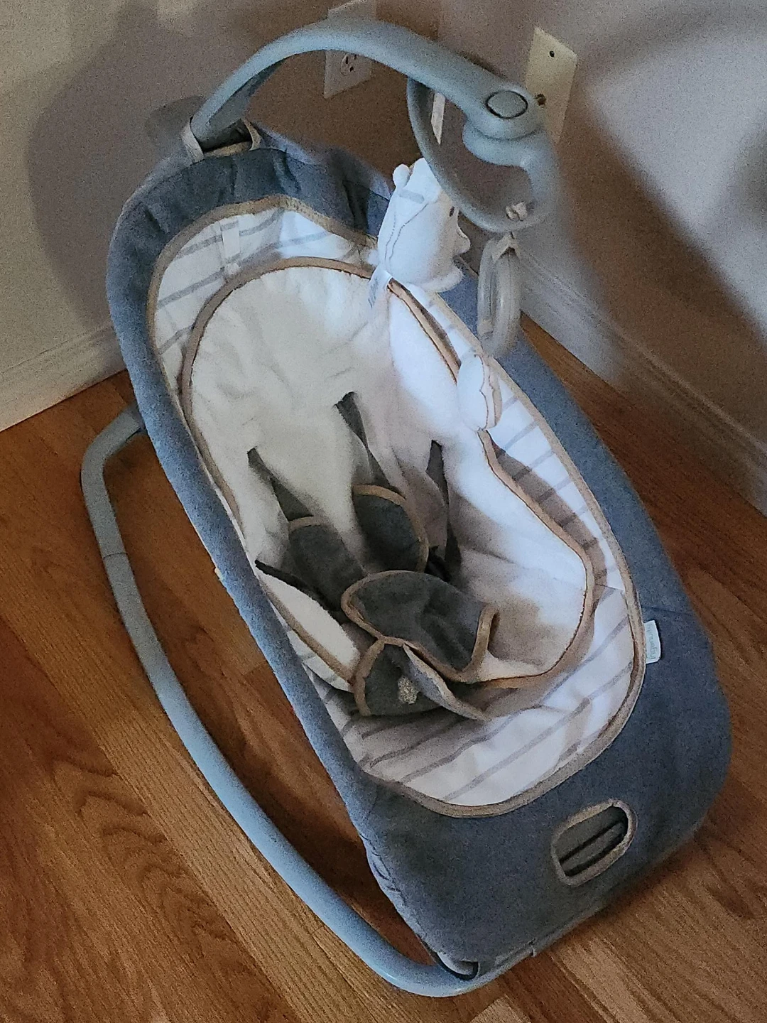 Infant Rocker/Bouncer