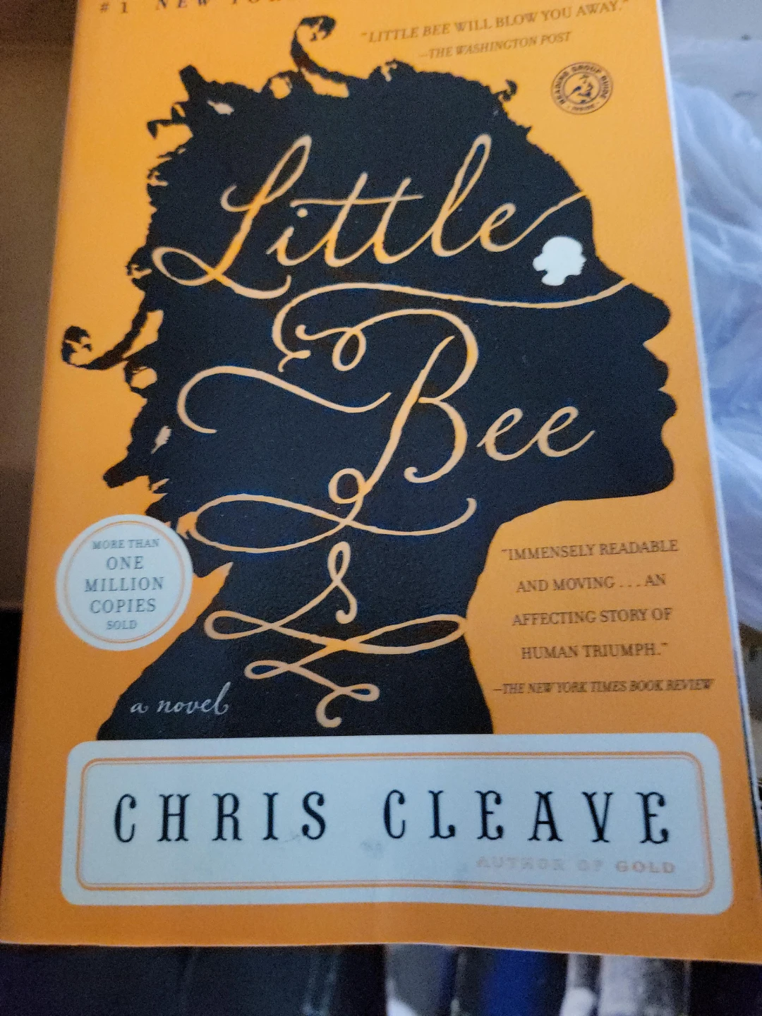 Little Bee by Chris Cleave Novel