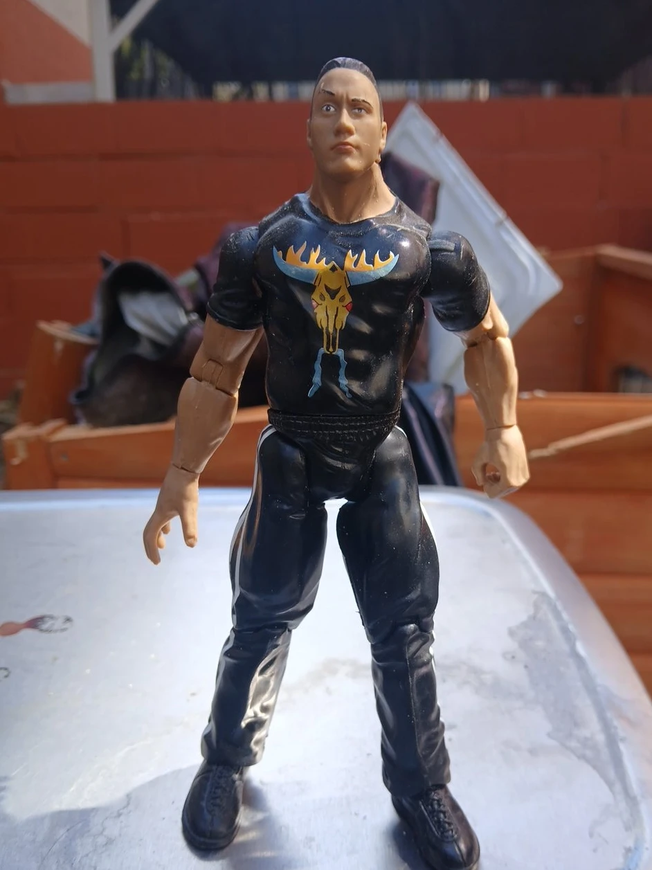 WWE The Rock Action Figure