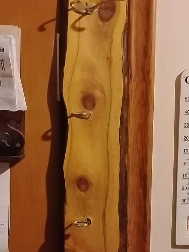 Live Edge Wood Coat Rack with 4 Hooks